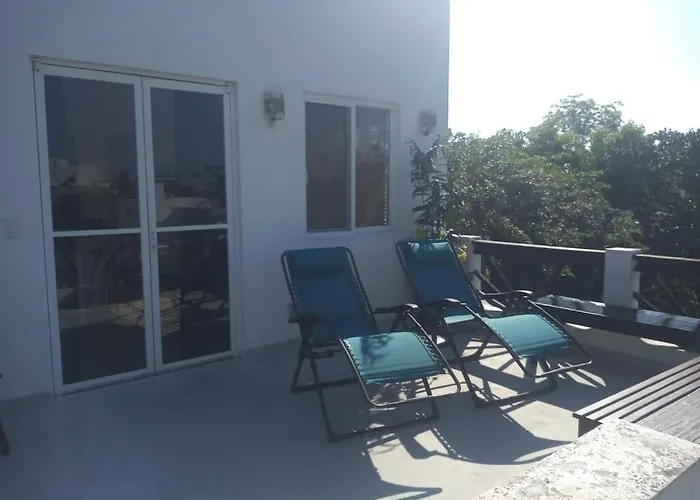 Mango 3*