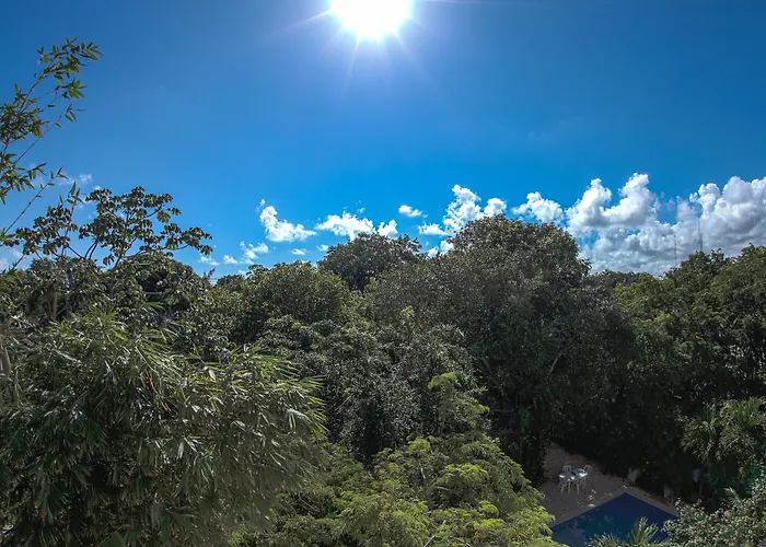 Mango Hotel 3*