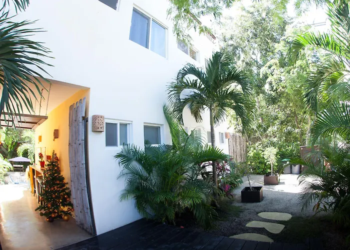Mango Tulum