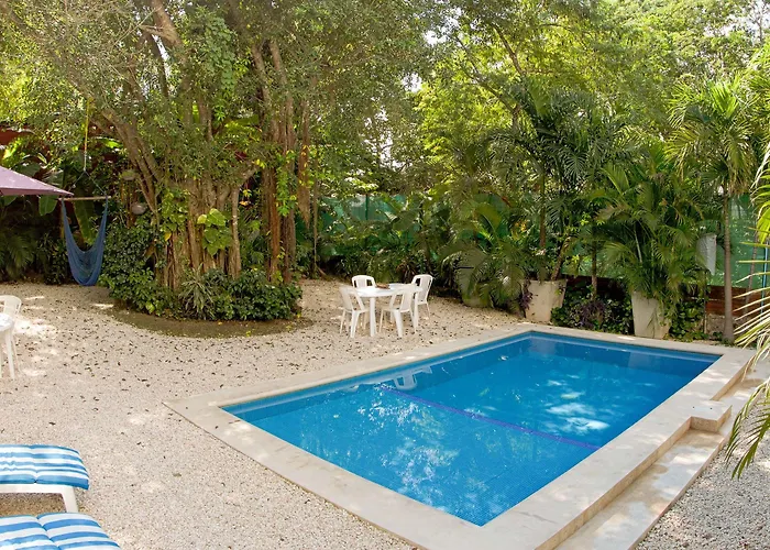 Mango Tulum