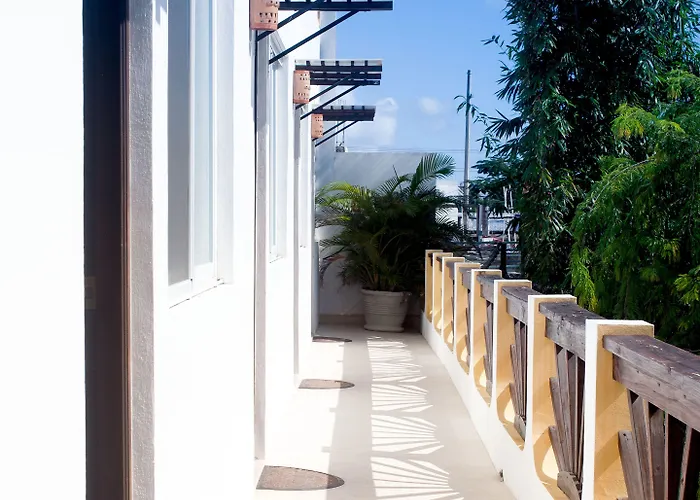 Hotel Mango 3*