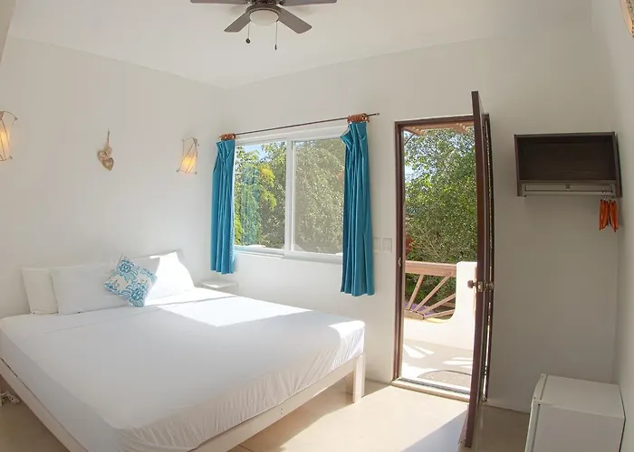 Hotel Mango 3*