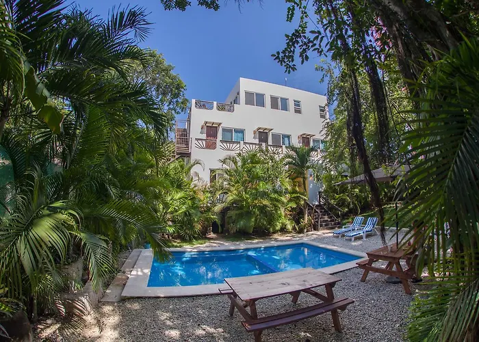 Hotel Mango 3*