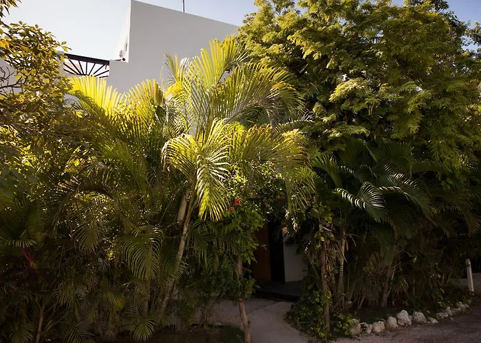 Hotel Mango