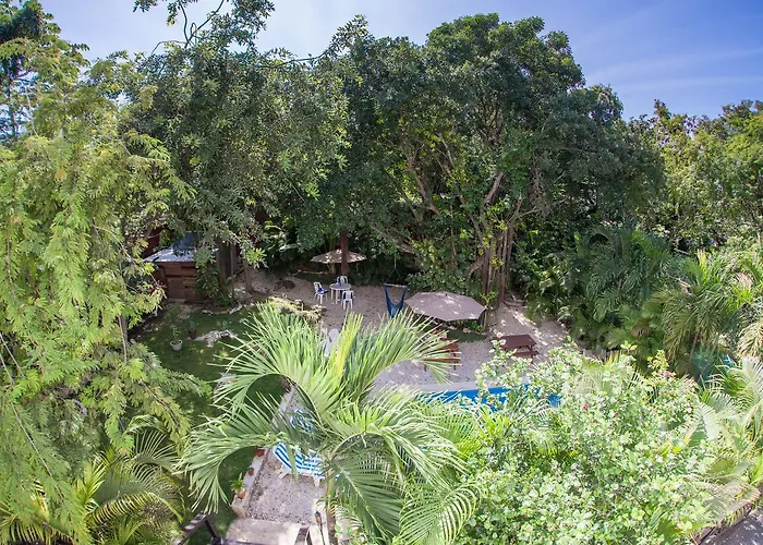 Mango Hotel 3*