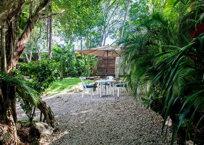 Mango Tulum